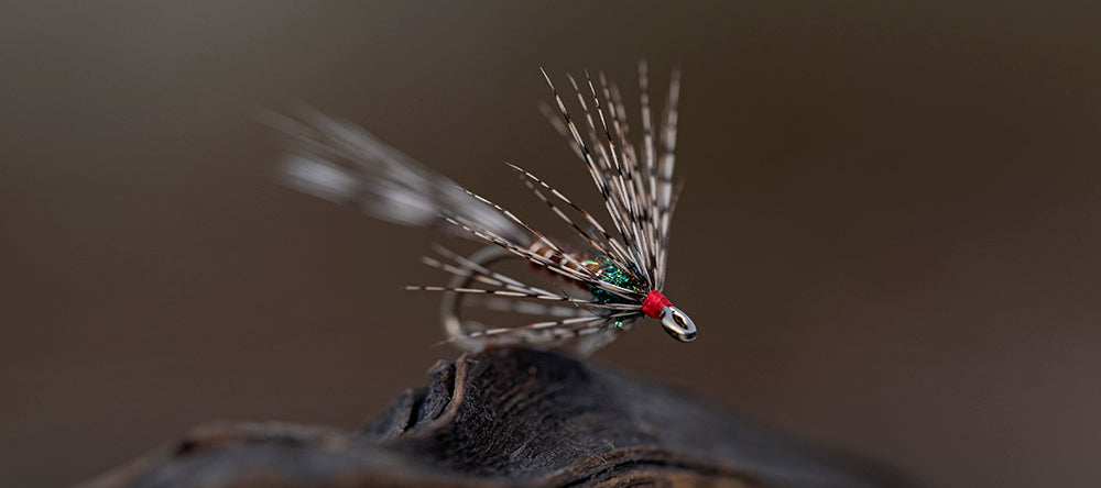 Ahrex LE880 Legacy Wet Fly Hooks
