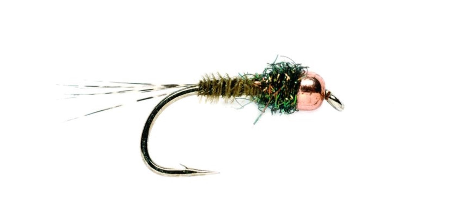Paul Proctor Biot Olive
