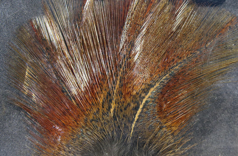 Hareline Coq De Leon Feathers (Assorted Colours)
