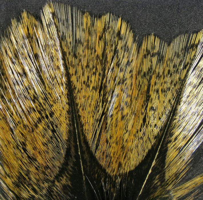 Hareline Coq De Leon Feathers (Assorted Colours)