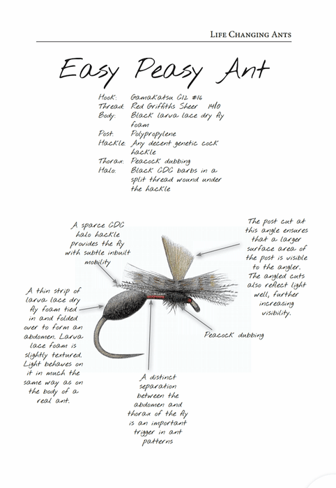 The Feather Mechanic 2 - Gordon van der Spuy