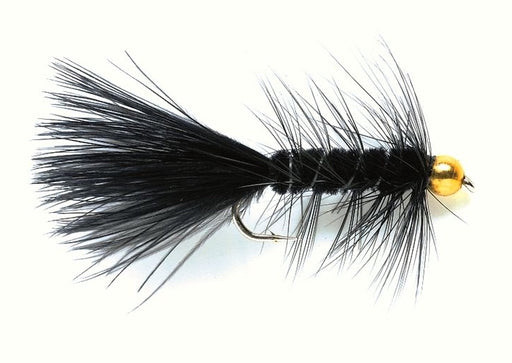 BH Black Bugger