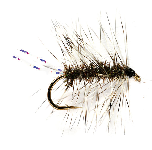Griffith's Gnat