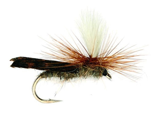 Parachute Caddis