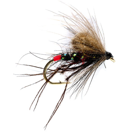 CDC Bibio Bristol Hopper