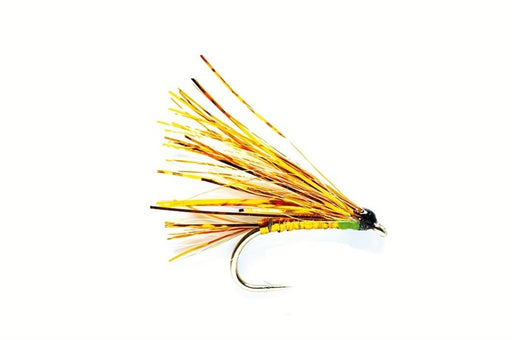Sparkler Gold