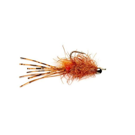 Critter Bug #2 Brown