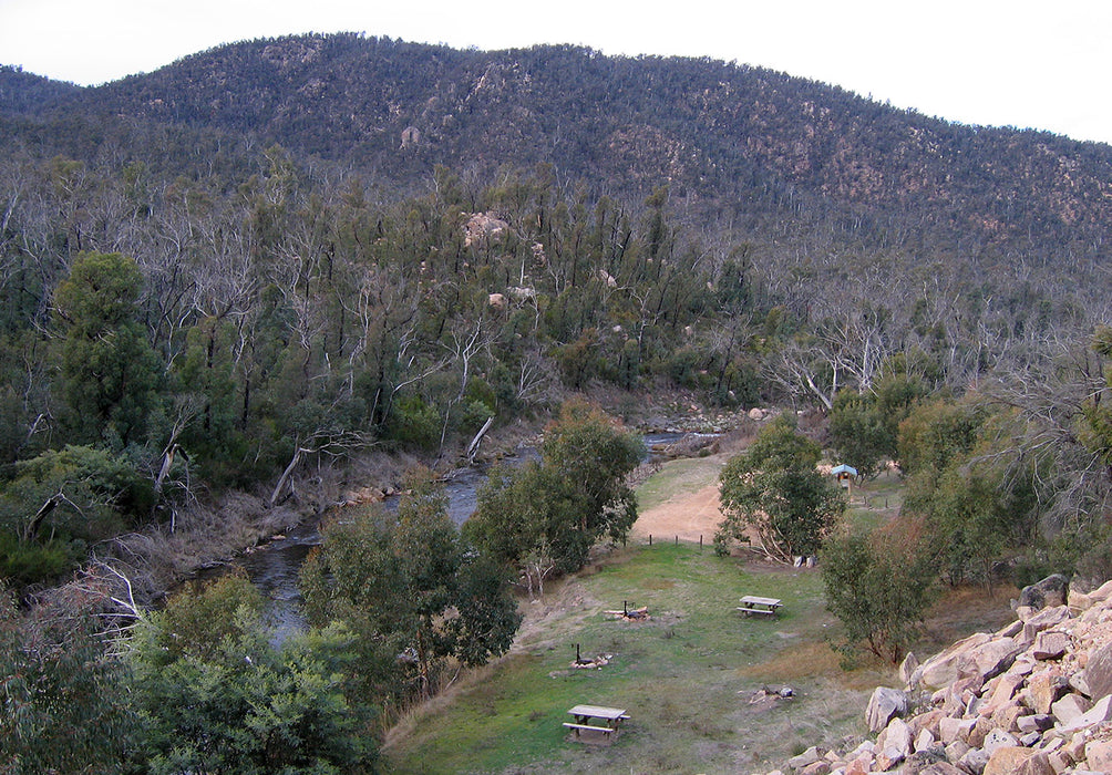 Premium Staff Picked Fly Selection - Mitta Mitta River System