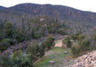 Premium Staff Picked Fly Selection - Mitta Mitta River System