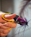 Loon Ergo Arrow Point Scissors