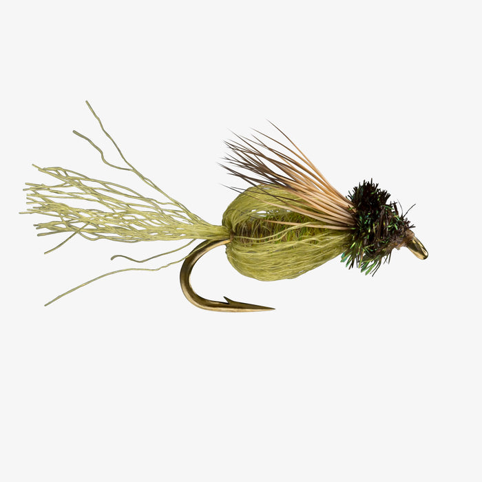 Olive Sparkle Pupa Dry