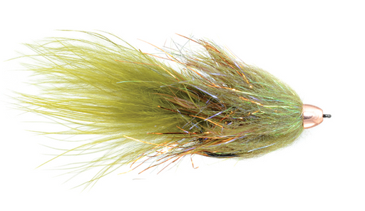 Complex Twist Bugger Olive