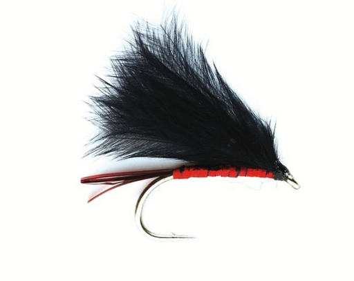 Cormorant Red