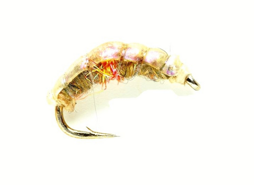 Pearl Shrimp