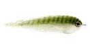 Salty Baitfish Anchovy