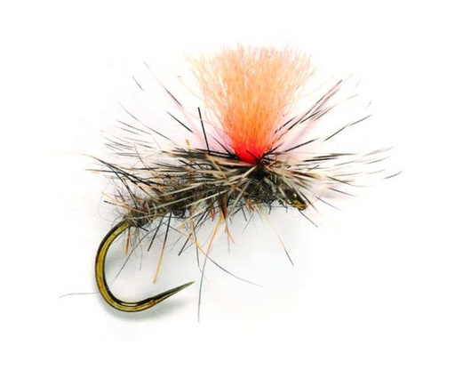 Oppo Parachute #14-16