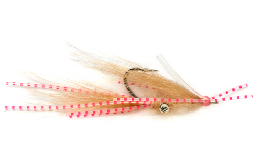 Squimp Pink #6