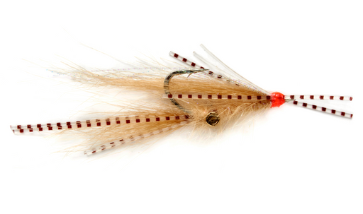 Squimp Tan #6