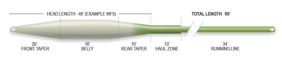 Airflo SuperFlo Universal Taper Floating Fly Line Size guide