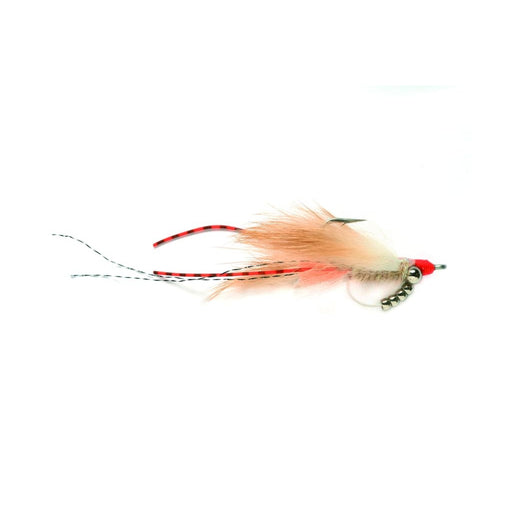 Keel Shrimp