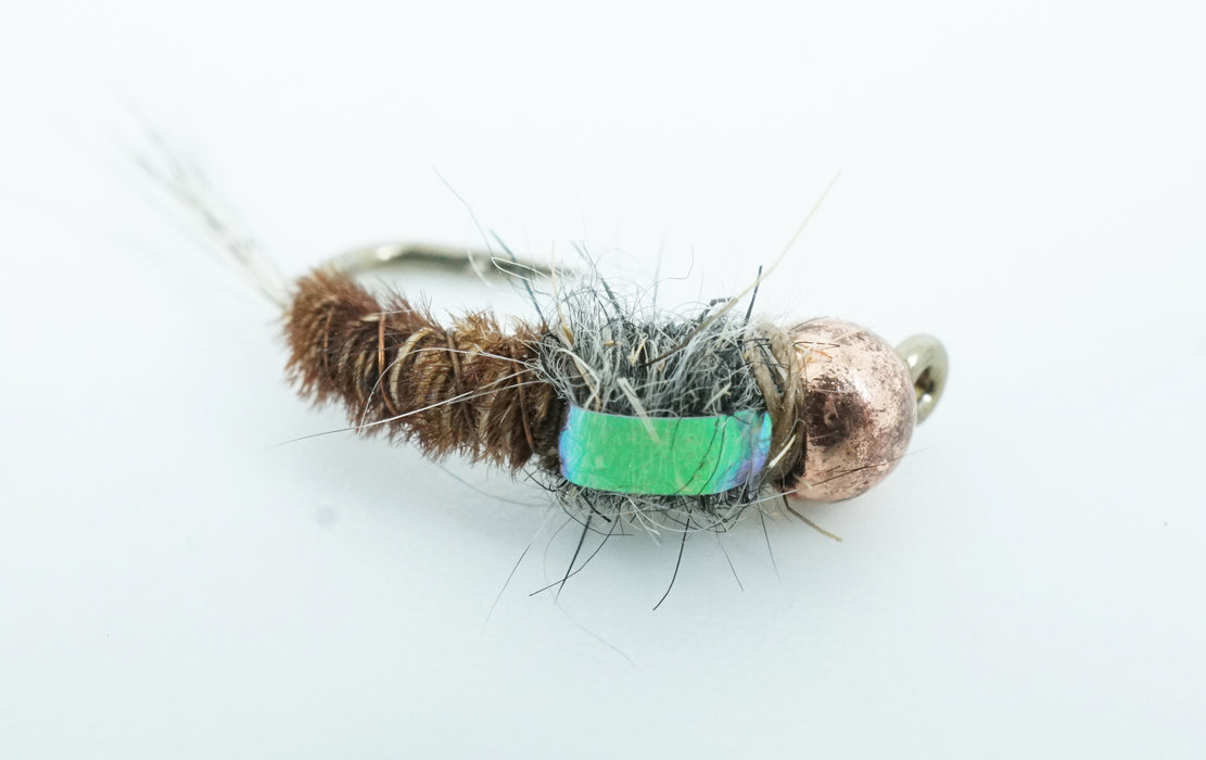 BH Grub Pheasant Tail FB - The Flyfisher