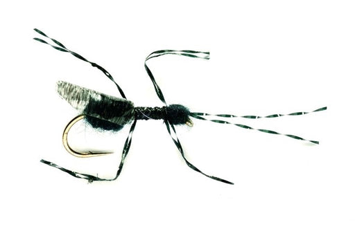 Bill's Black Flying Ant