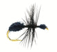 Black Ant