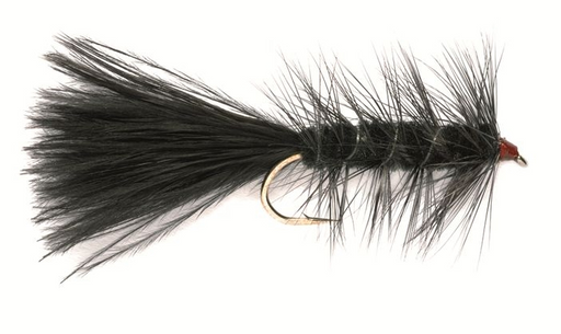 Black Woolly Bugger