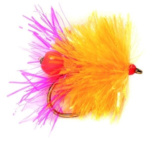 Blob Egg Laying Sunburst