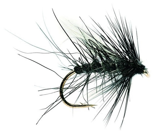 Bob's Bits Black