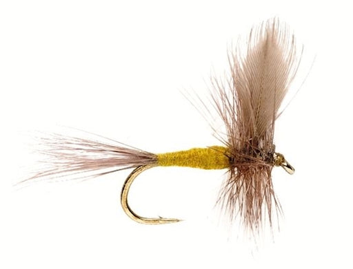 Blue Winged Olive