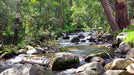 Premium Staff Picked Fly Selection - Goulburn River System