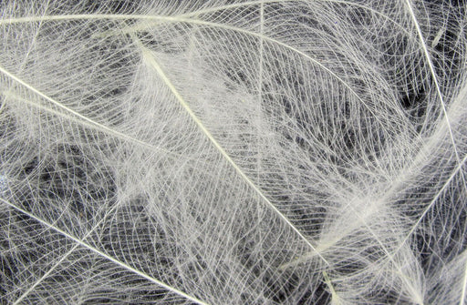 Hareline Cul De Canard Feathers (CDC) - The Flyfisher