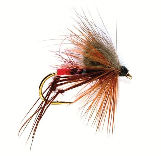 CDC Hopper Claret
