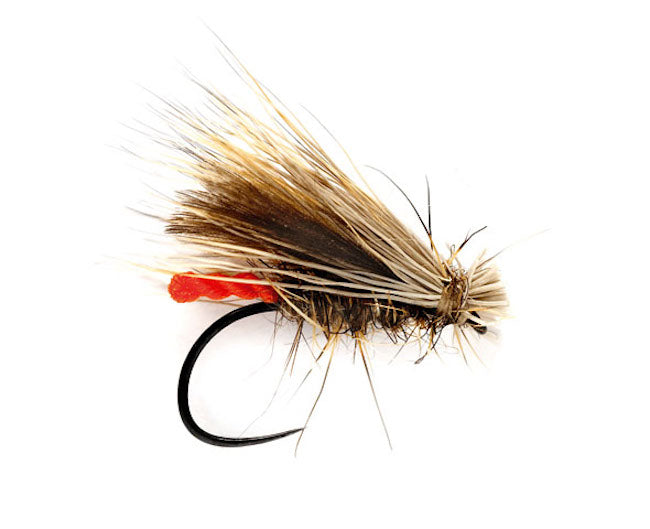 Championship Caddis