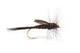 Barry Lodge Emerger