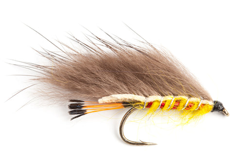 Beck's Lurex Cat #6-8