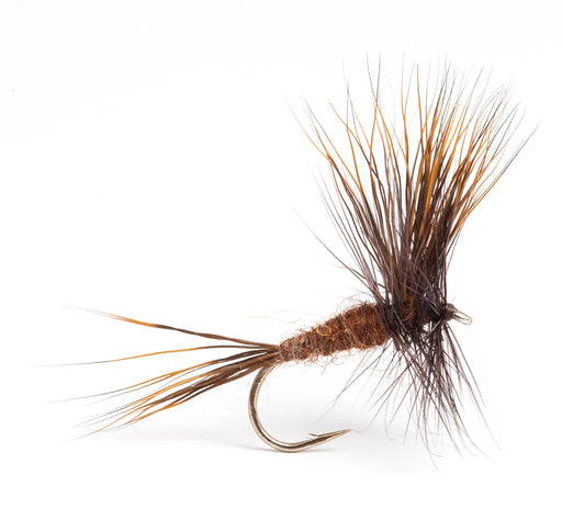 Beck's Brown Wulff