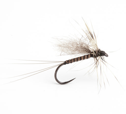 Barbless Bassano Spun 