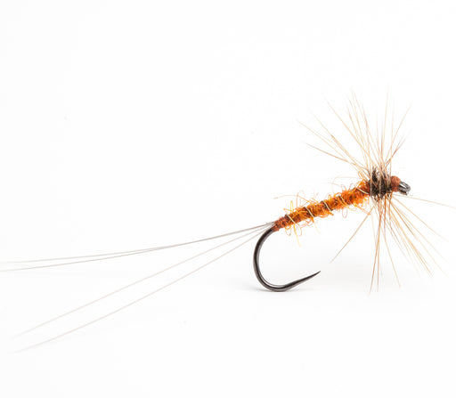 Barbless Bassano Orange Spinner 