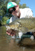 Scientific Anglers Amplitude Smooth Titan 