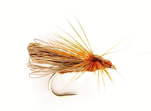Davy's Brown Termite
