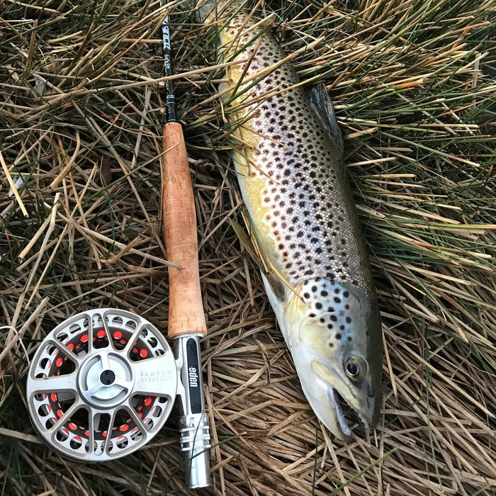 Eden Advance Fly Rods