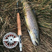 Eden Advance Fly Rods