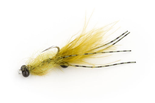 Olive Fuzzle Shrimp #4-2