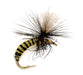 Grannom Pupa Para