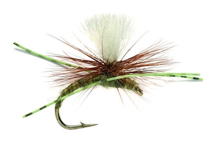 Kicking Klinkhammer Olive