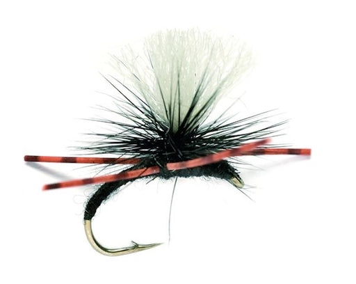 Kicking Klinkhammer Black