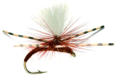 Kicking Klinkhammer Brown