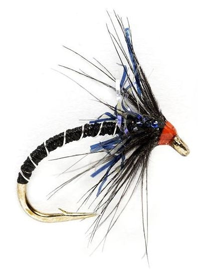 KJ Black & UV Spider